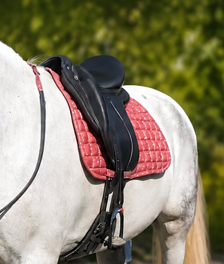 Tapis pailletés CSO/Mixte