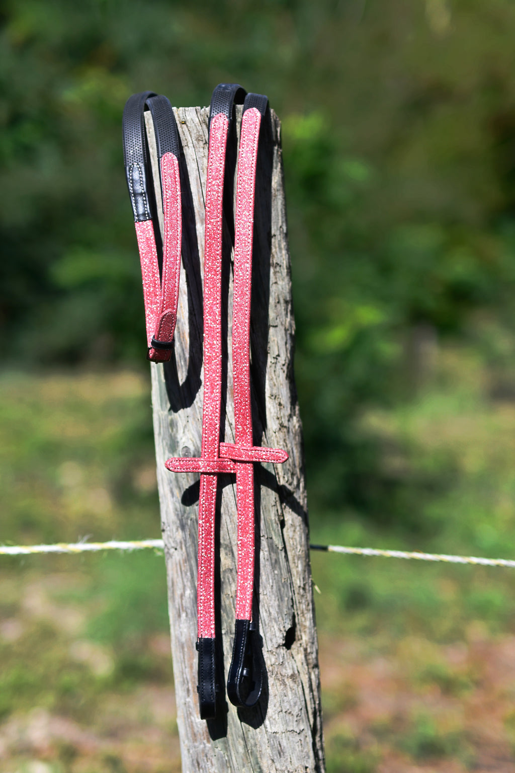 Paire de rênes paillettées rose foncé - Cuir noir