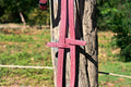 Paire de rênes pailletées rose foncé - Cuir marron